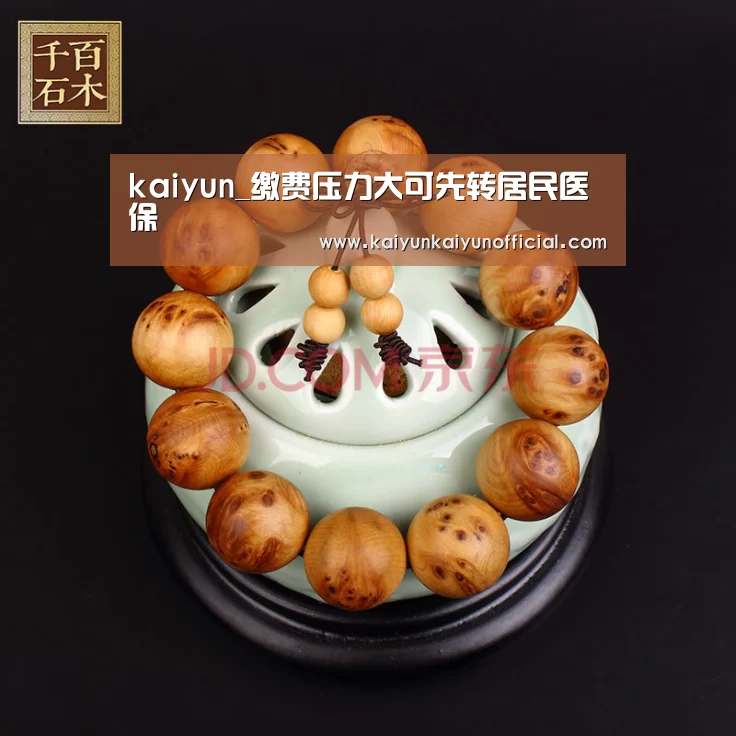 开云网址登录入口