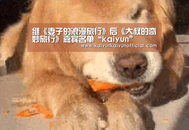 继《妻子的浪漫旅行》后《大叔的奇妙旅行》嘉宾名单“kaiyun”(图2) 开云