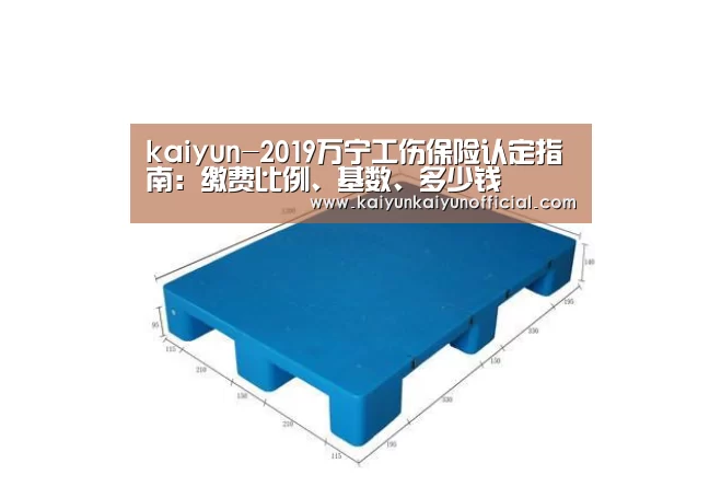 开云