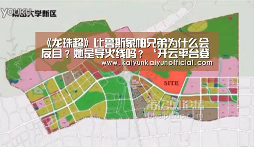 《龙珠超》比鲁斯象帕兄弟为什么会反目?她是导火线吗?‘开云平台登录入口’(图1) 开云网址登录入口