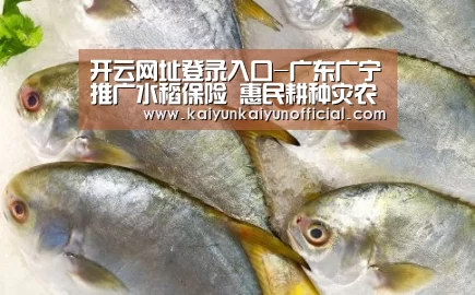 开云网址登录入口-广东广宁推广水稻保险 惠民耕种灾农(图1) 开云平台登录入口