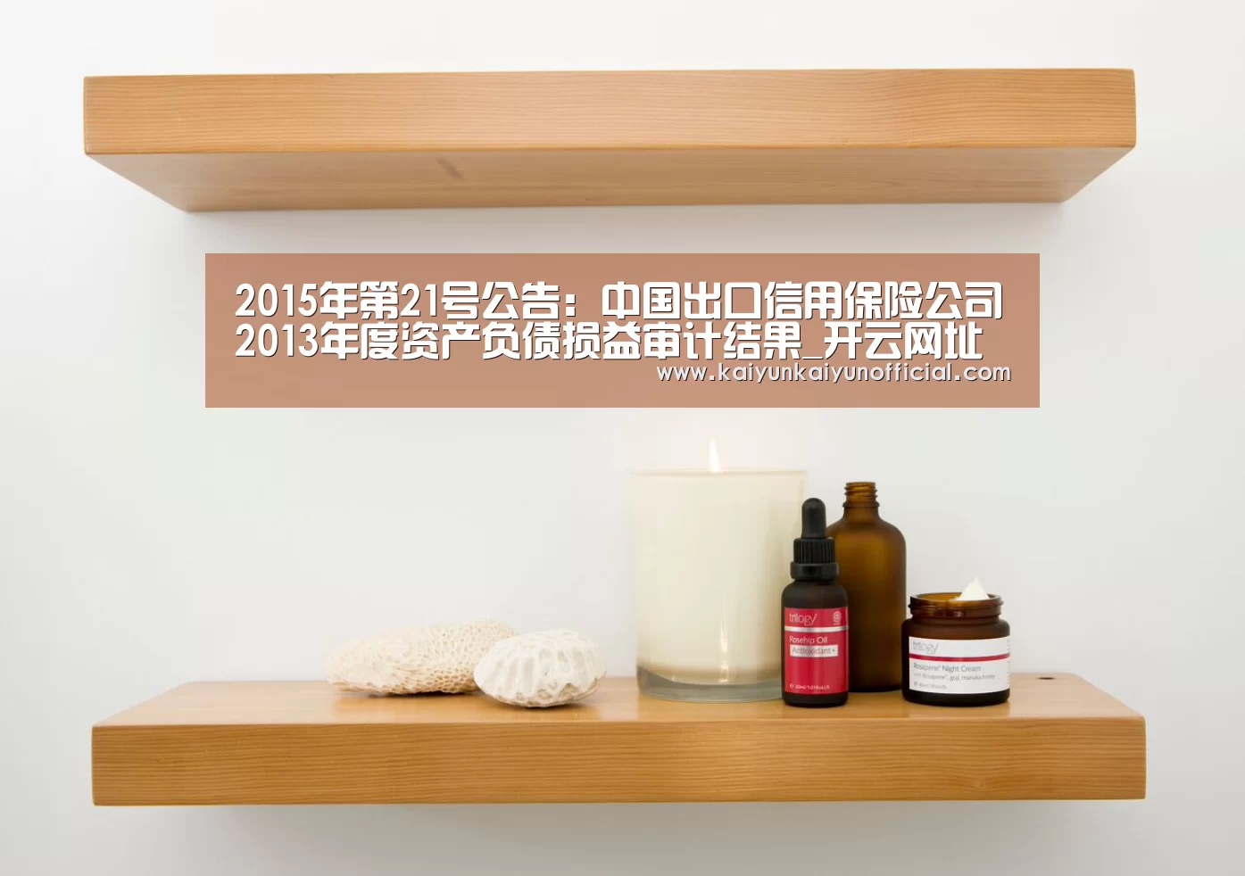2015年第21号公告：中国出口信用保险公司2013年度资产负债损益审计结果_开云网址登录入口(图2)