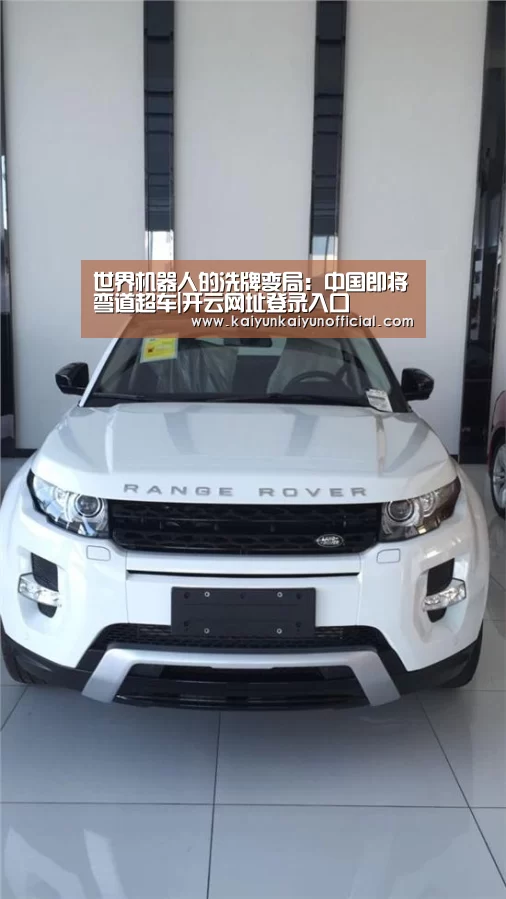 世界机器人的洗牌变局:中国即将弯道超车|开云网址登录入口(图2) 世界机器人的洗牌变局:中国即将弯道超车|开云网址登录入口(图2)