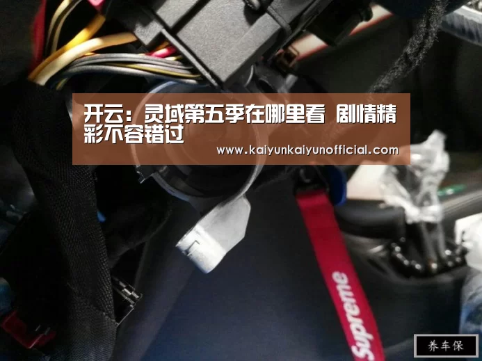 开云:灵域第五季在哪里看 剧情精彩不容错过(图1) 开云:灵域第五季在哪里看 剧情精彩不容错过(图1)