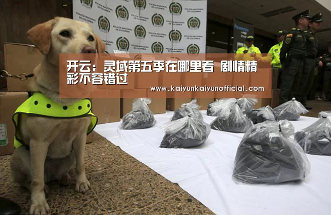 开云:灵域第五季在哪里看 剧情精彩不容错过(图2) 开云