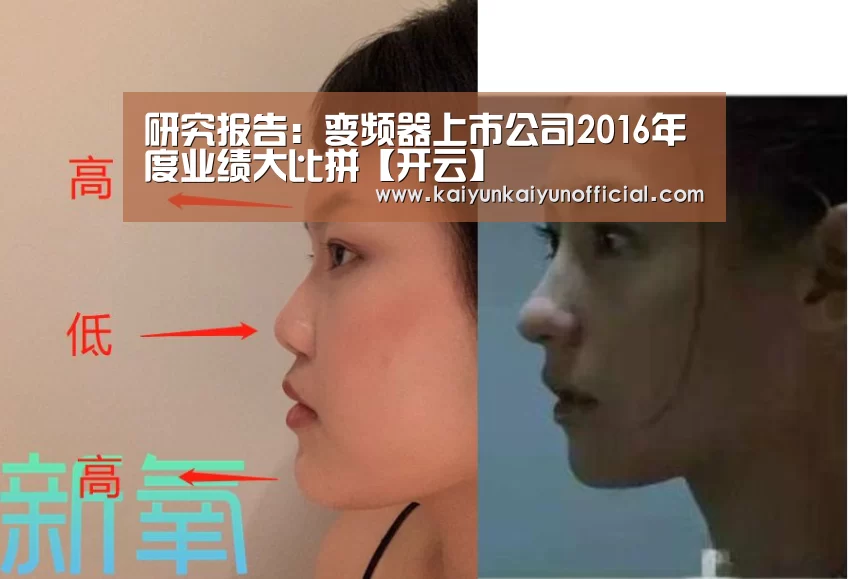 研究报告:变频器上市公司2016年度业绩大比拼【开云】(图2) 开云网址登录入口