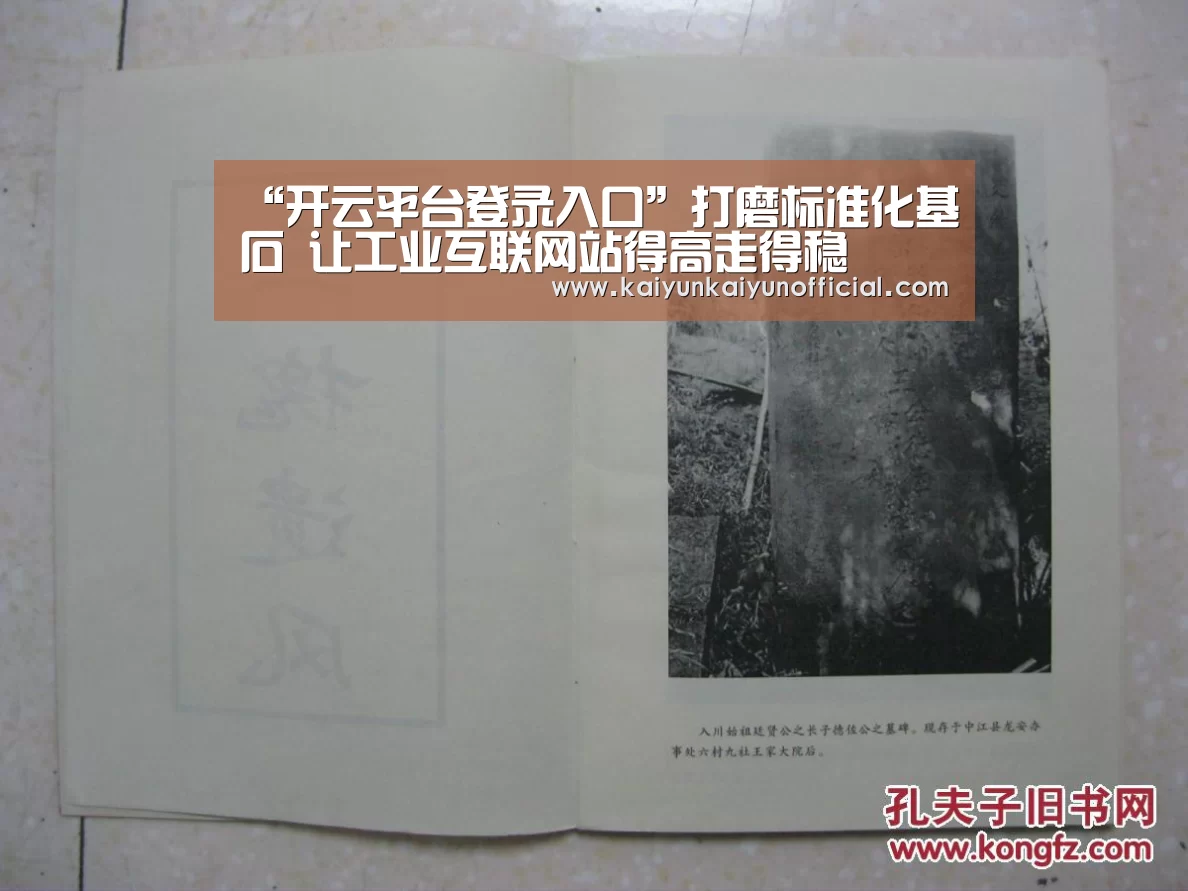 “开云平台登录入口”打磨标准化基石 让工业互联网站得高走得稳(图2) 开云