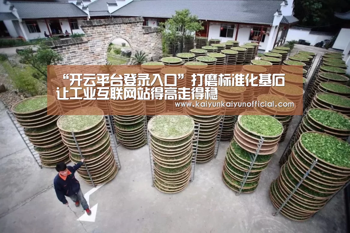 “开云平台登录入口”打磨标准化基石 让工业互联网站得高走得稳(图3) 开云平台登录入口